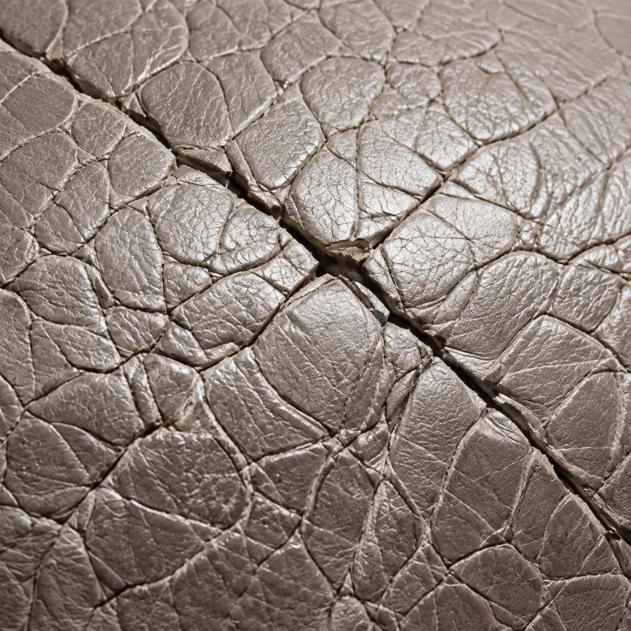 Colour worn off the raised grain of a taupe leather seat