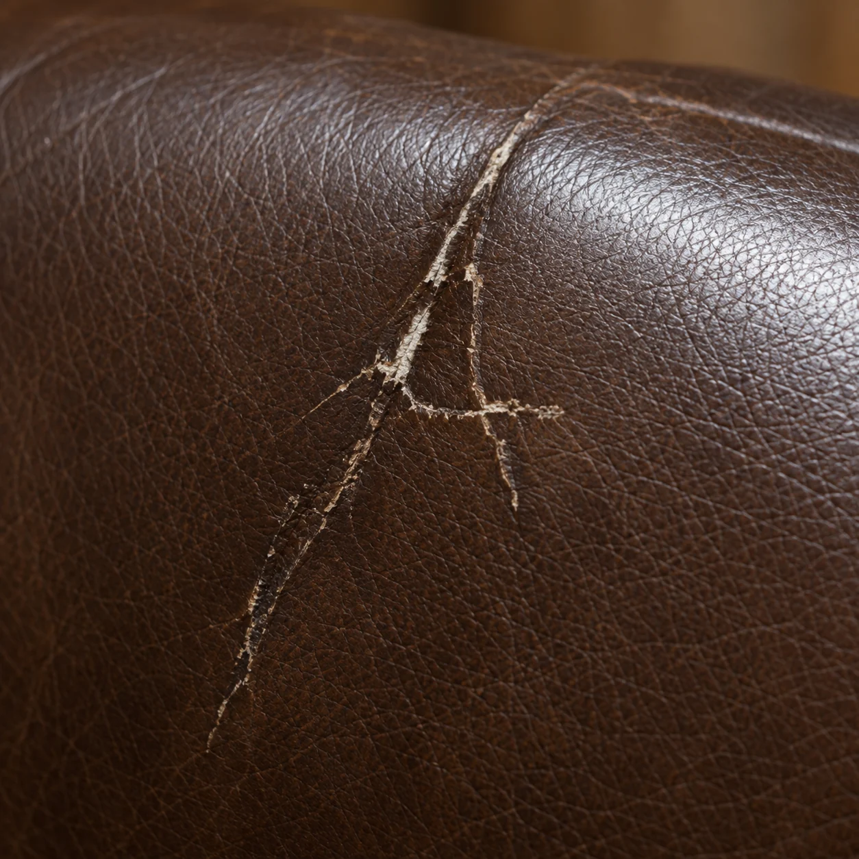 A branching crack running along a crease line in brown leather