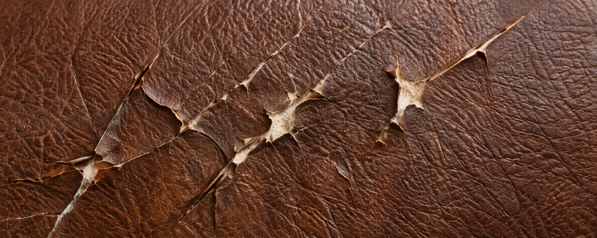 Brown leather with claw damage cut deep enough to split the hide open