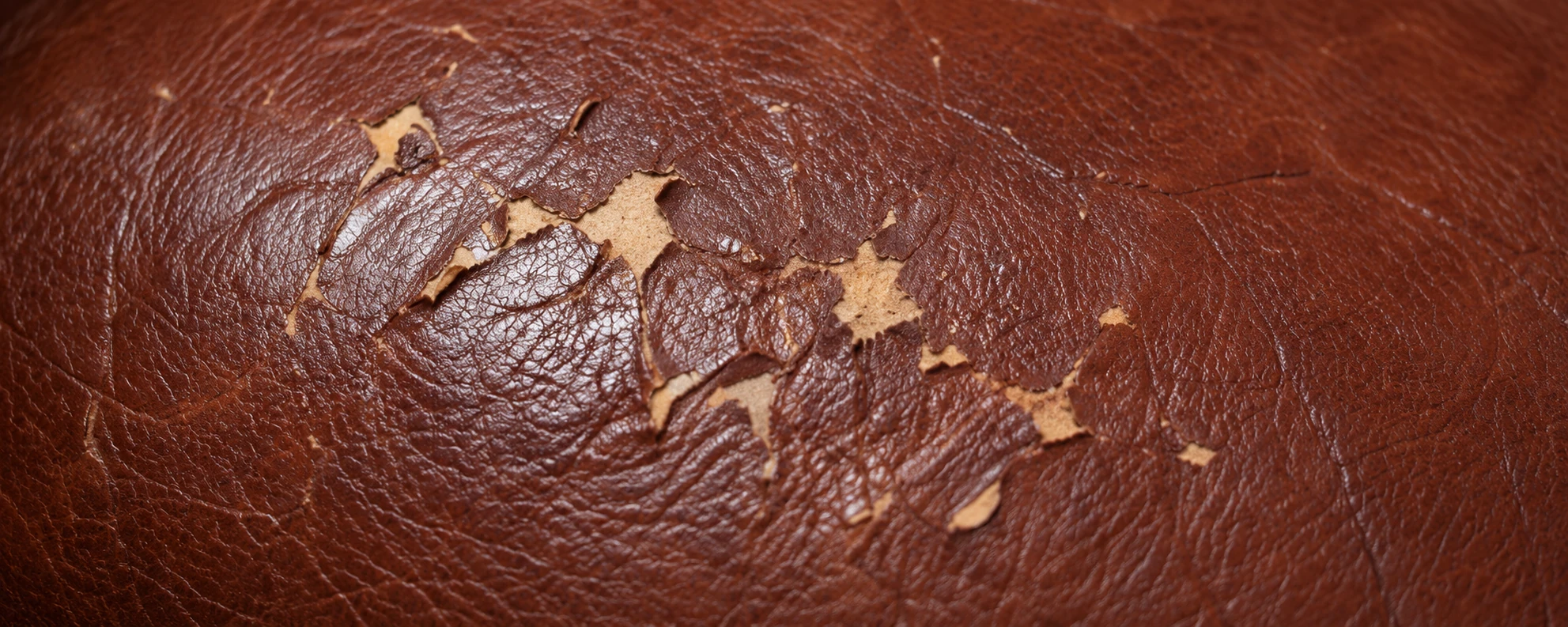 Chestnut leather with the coloured finish flaking away in pale patches