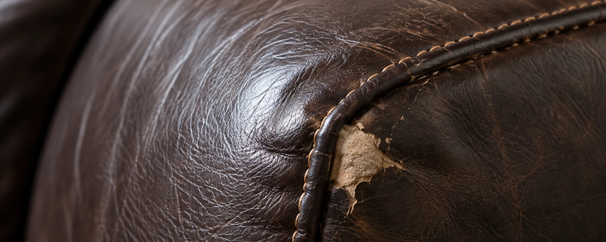 Dark brown sofa corner torn open along the piping, showing pale material beneath