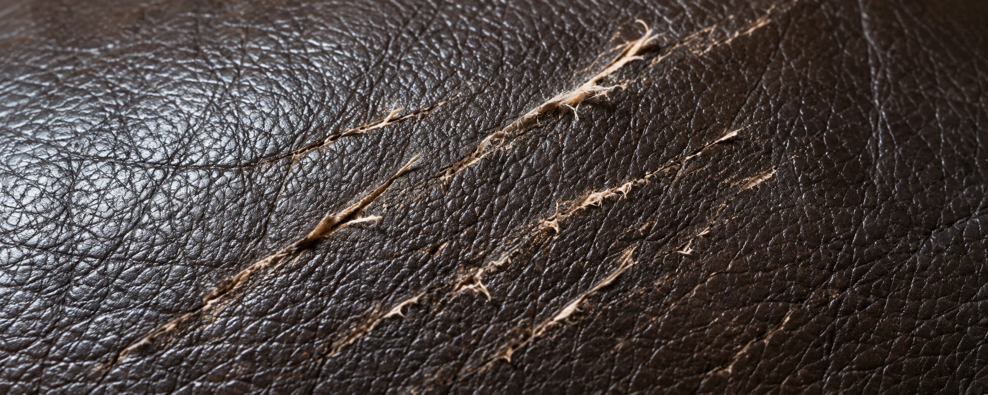 Deep claw gouges in dark brown leather with pale fibres lifted along the edges