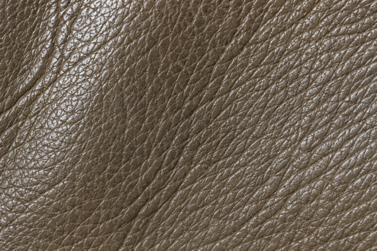 Close macro of taupe leather showing an even natural grain pattern