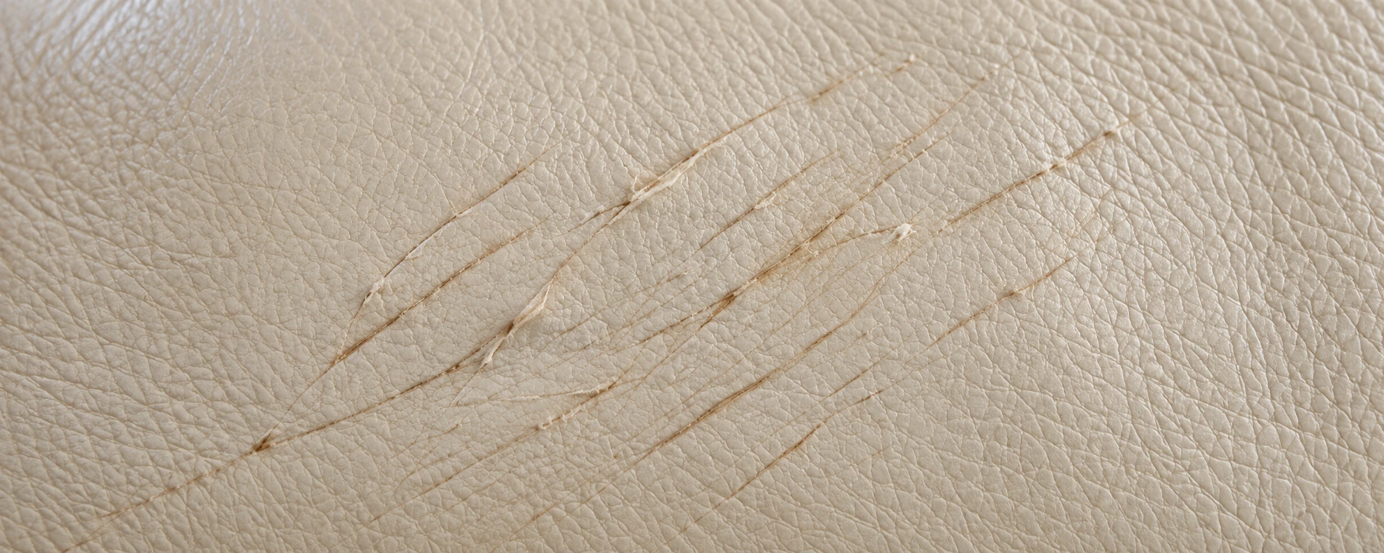 Fine surface claw lines in cream leather that sit within the finish
