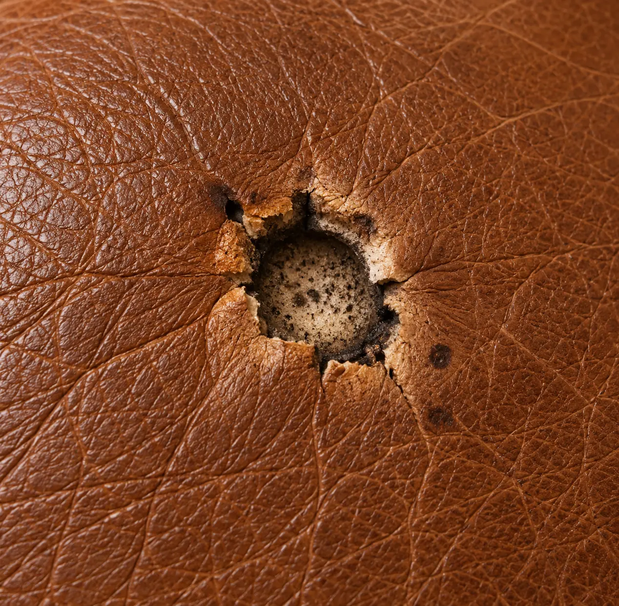 Cigarette burn in a tan leather seat cushion before leather burn repair, charred ring around the hole