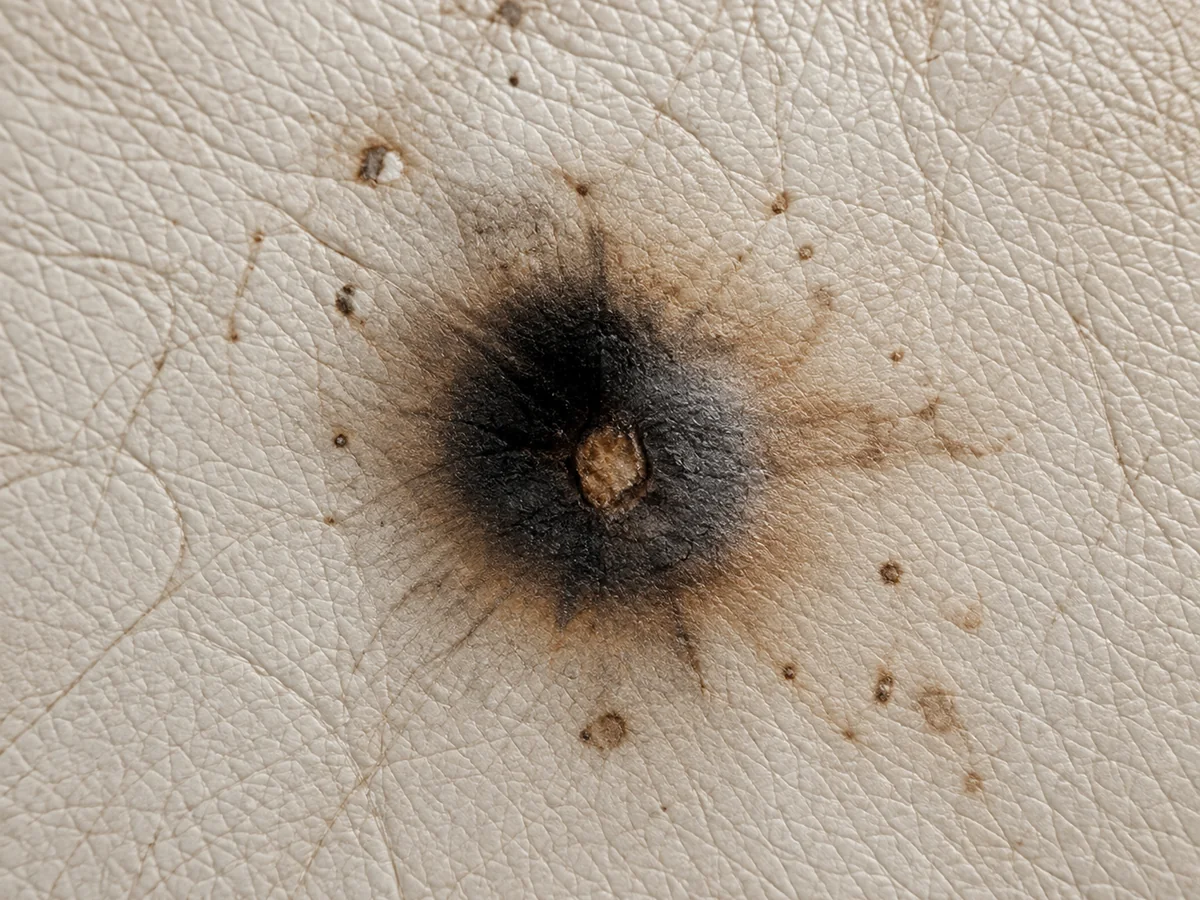 A burn mark scorched through the surface of a leather cushion