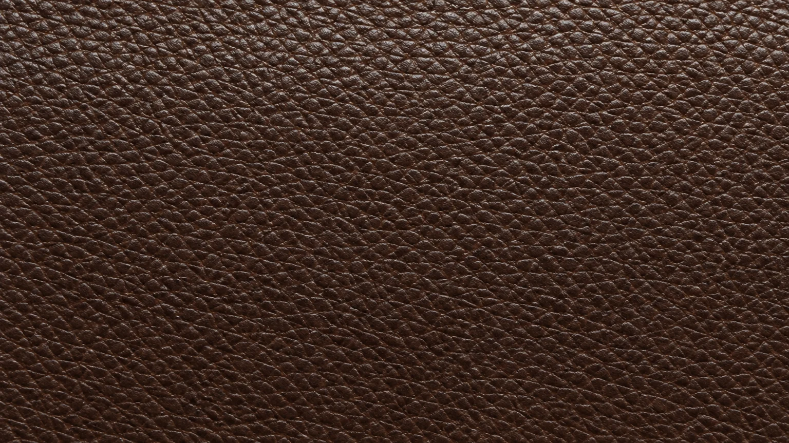 Dark brown hide with a pronounced pebbled grain