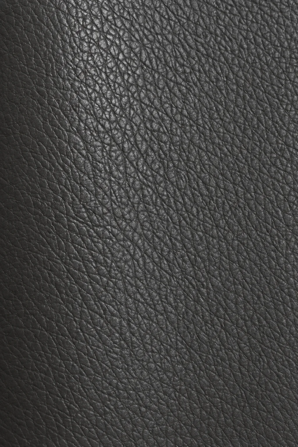 Charcoal leather swatch