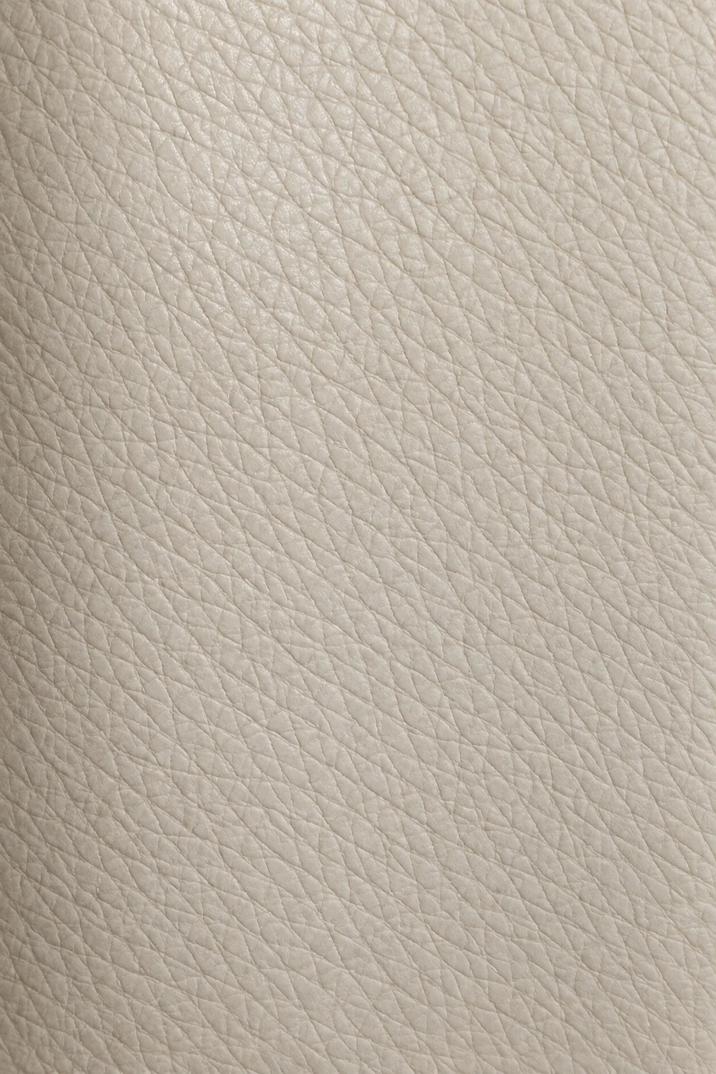 Cream leather swatch