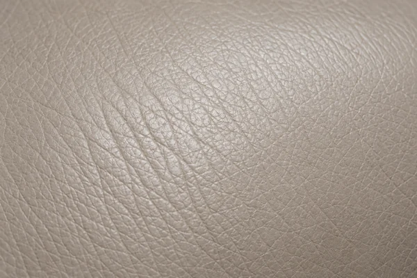 Dry leather with a dulled, thirsty grain