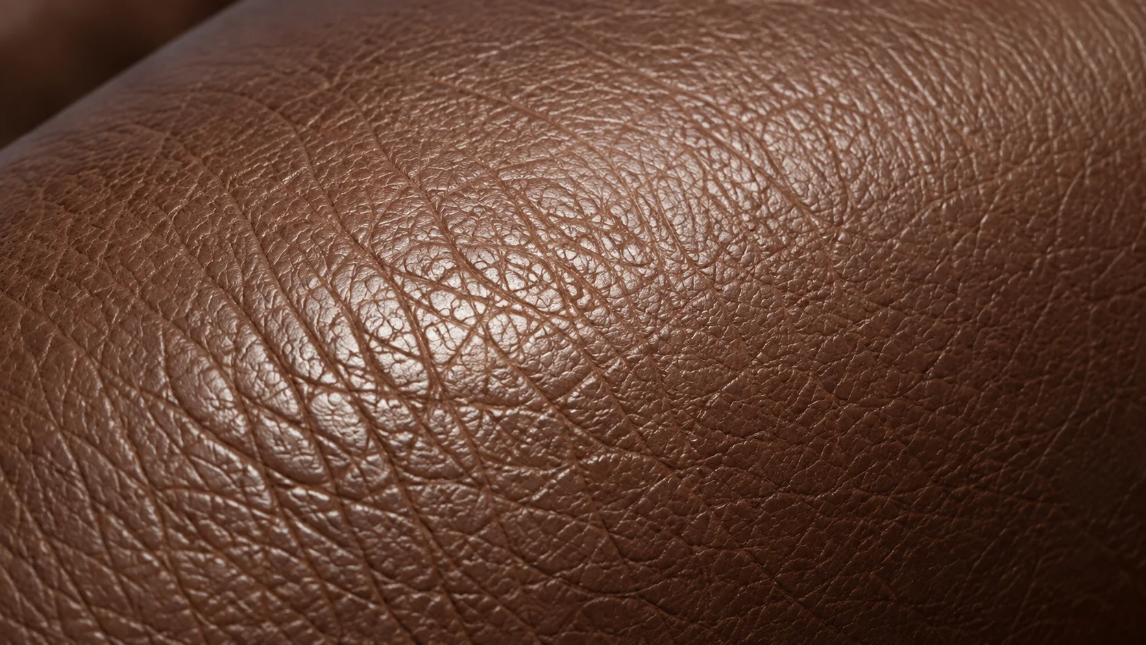 Dry, stiff leather grain that has lost its natural oils and flexibility