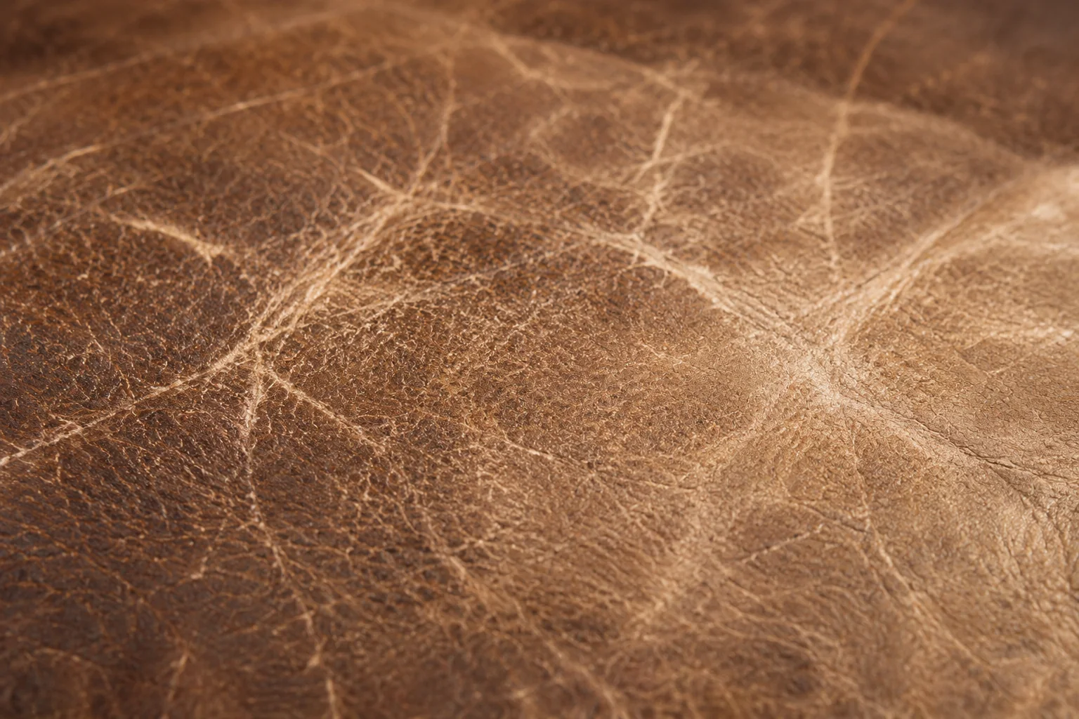 Colour lifted along a dense network of fine creases in a brown leather chair panel