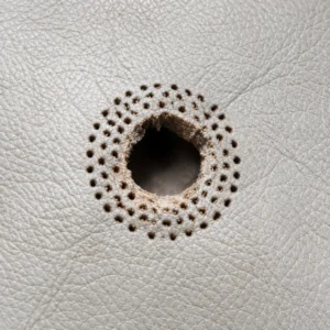 Leather Hole Repair in Chicago