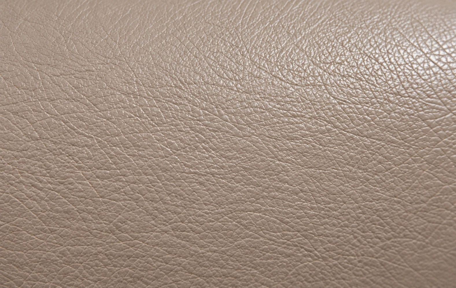 Finished taupe leather panel with an even grain and no trace of the repair