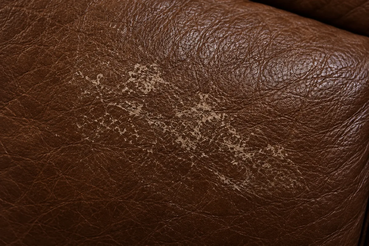 Fine pale flecks caught on the surface of brown leather, the grain beneath them unbroken