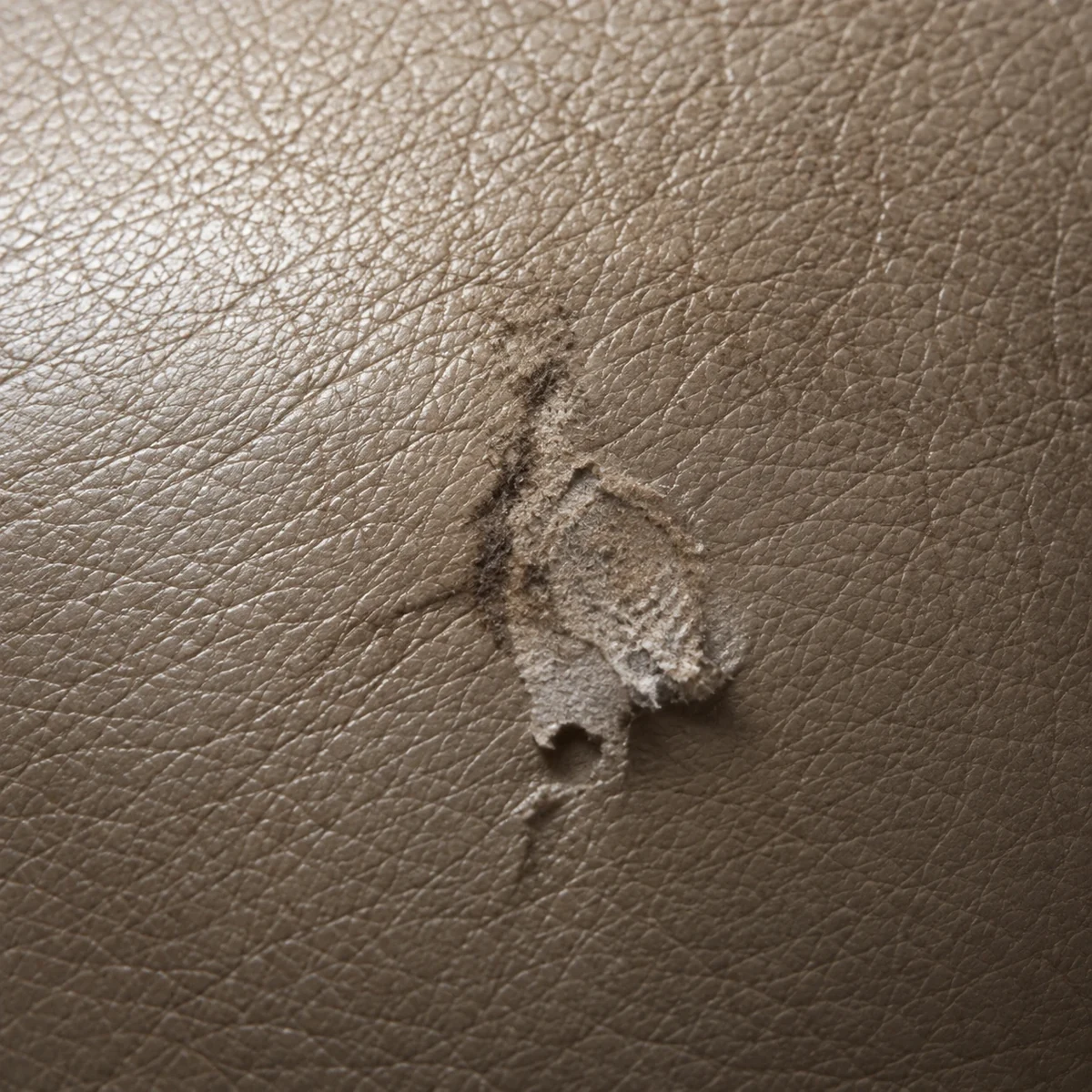 Scuffed patch on taupe leather with the finish worn away