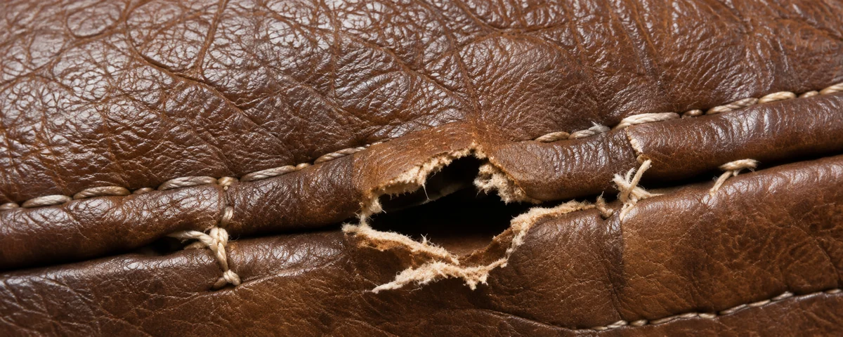 Brown leather torn open where the needle holes joined up, the raw fibrous edge exposed along the stitch line