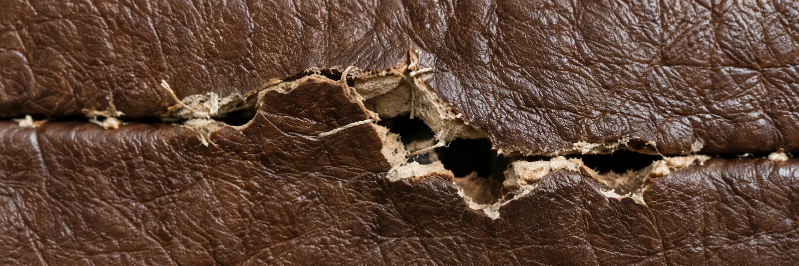 A brown leather seam torn into a ragged open channel, the pale fibre core visible along both edges
