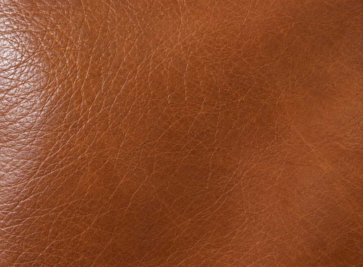 A cognac leather swatch