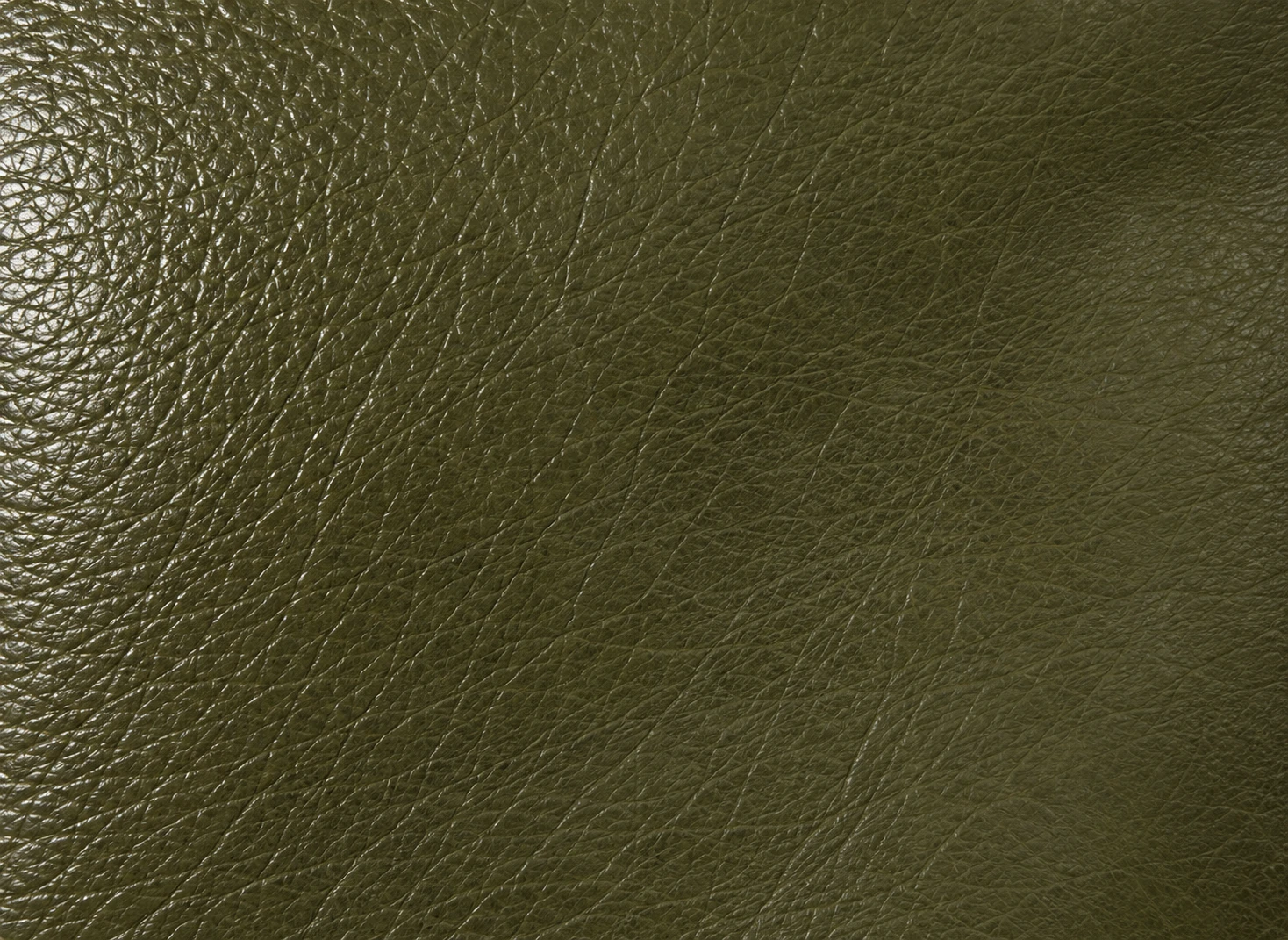 An olive green leather swatch