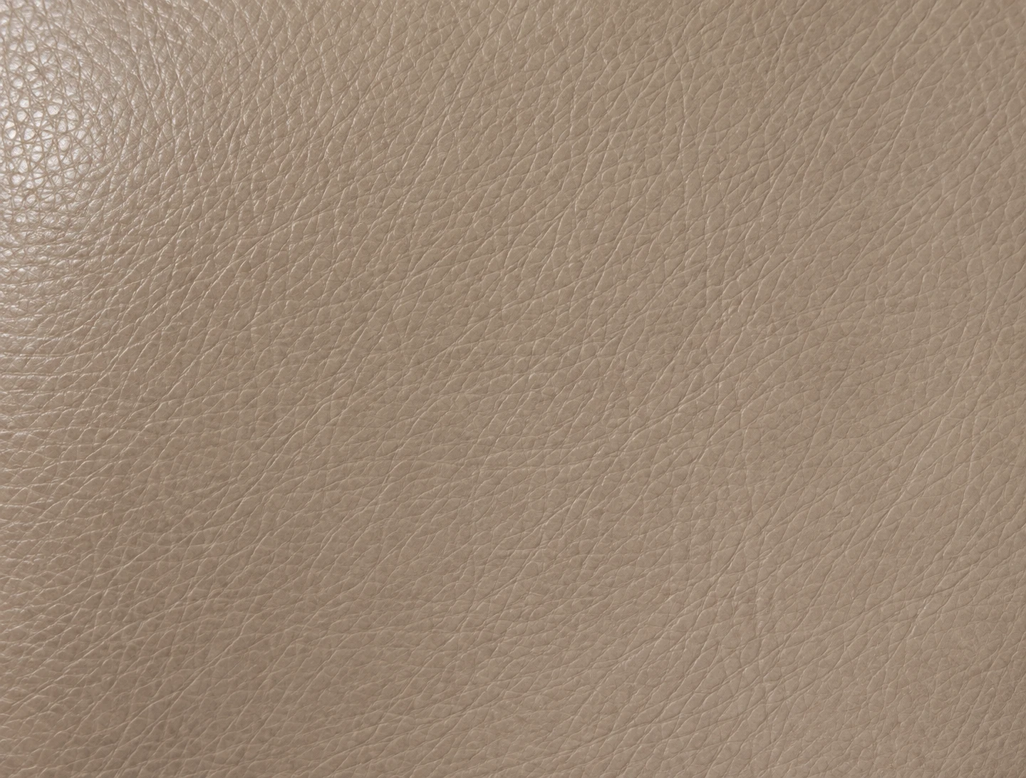 A taupe leather swatch