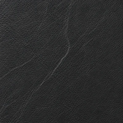 Black leather colour swatch