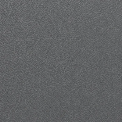 Charcoal leather colour swatch