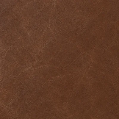 Chestnut leather colour swatch