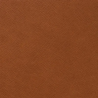 Cognac leather colour swatch