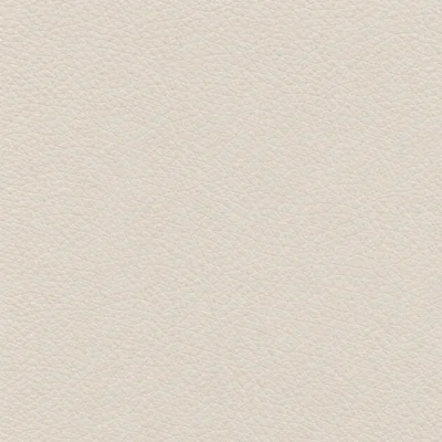 Cream leather colour swatch