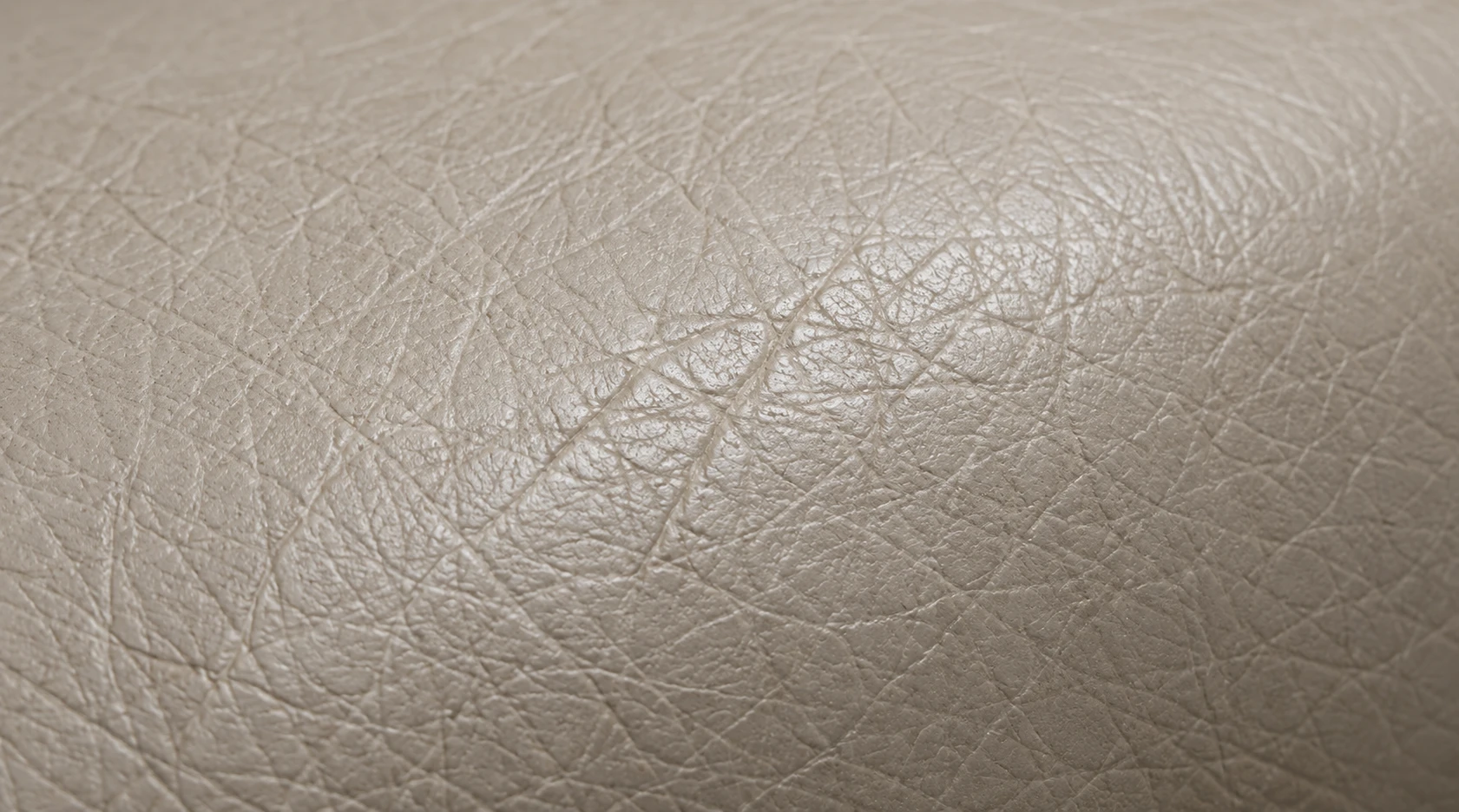 Pale cream leather grain
