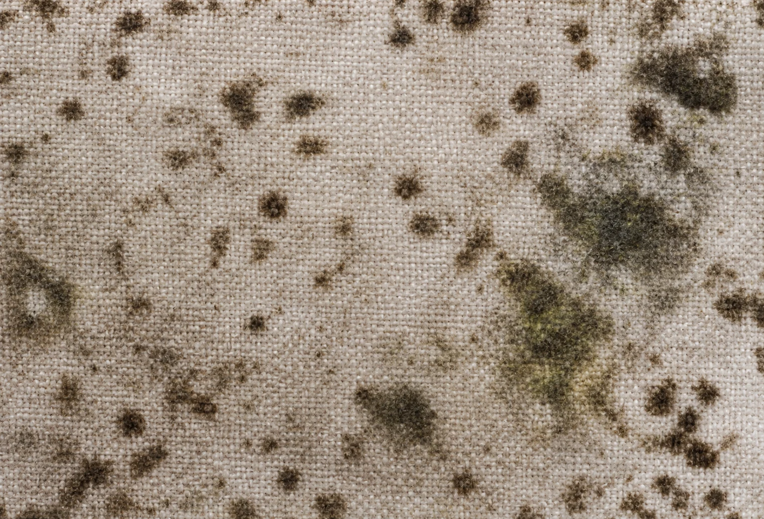 Dark mildew spotting spread across a beige woven outdoor cushion fabric