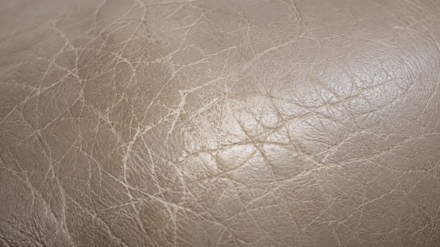 Fine crackle across taupe leather that has dried out and lost suppleness