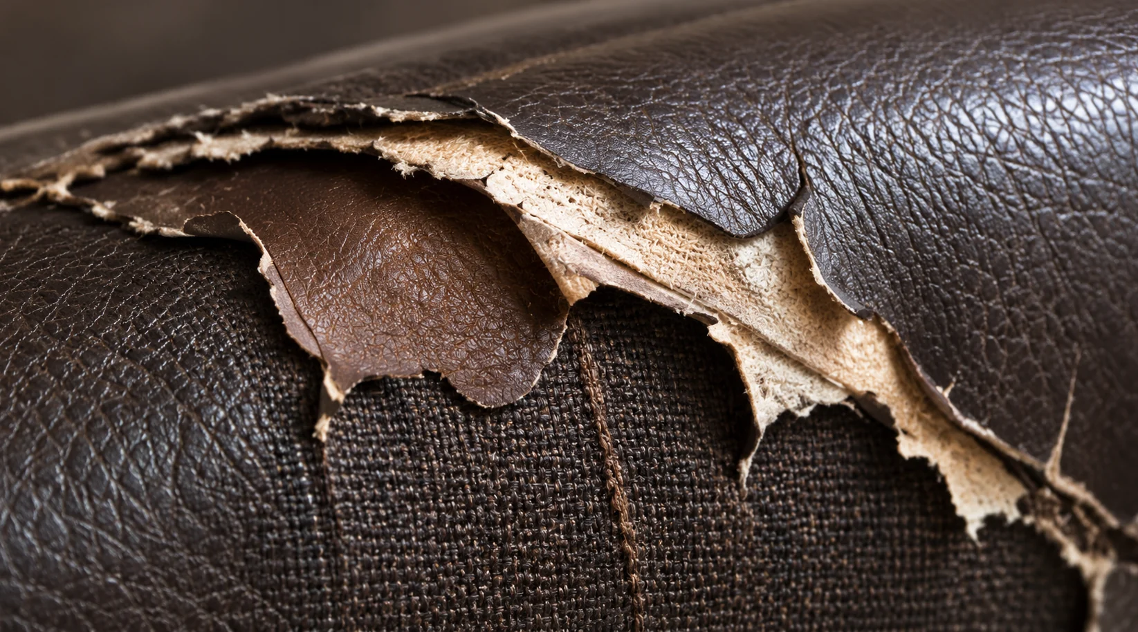 A large flap of dark brown surface lifted away from a bed panel, exposing a pale fibrous backing underneath