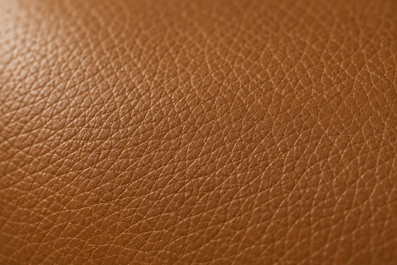 Pigmented leather surface in macro, full coloured top coat