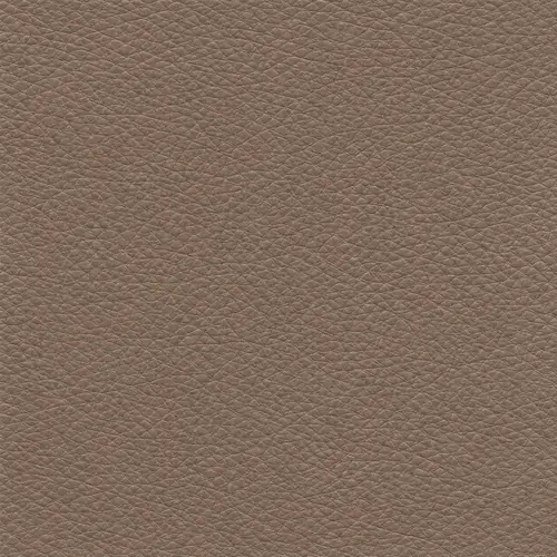 Fawn upholstery leather swatch