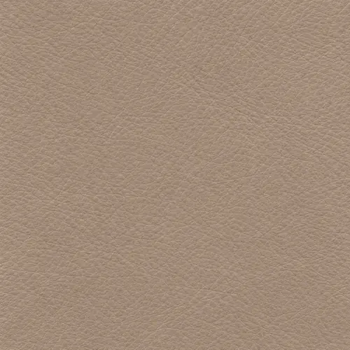 Mushroom upholstery leather swatch