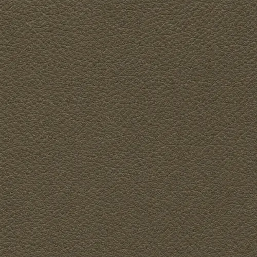 Olive upholstery leather swatch