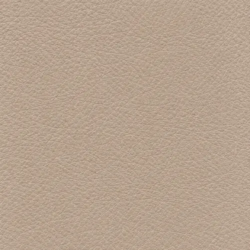 Taupe upholstery leather swatch
