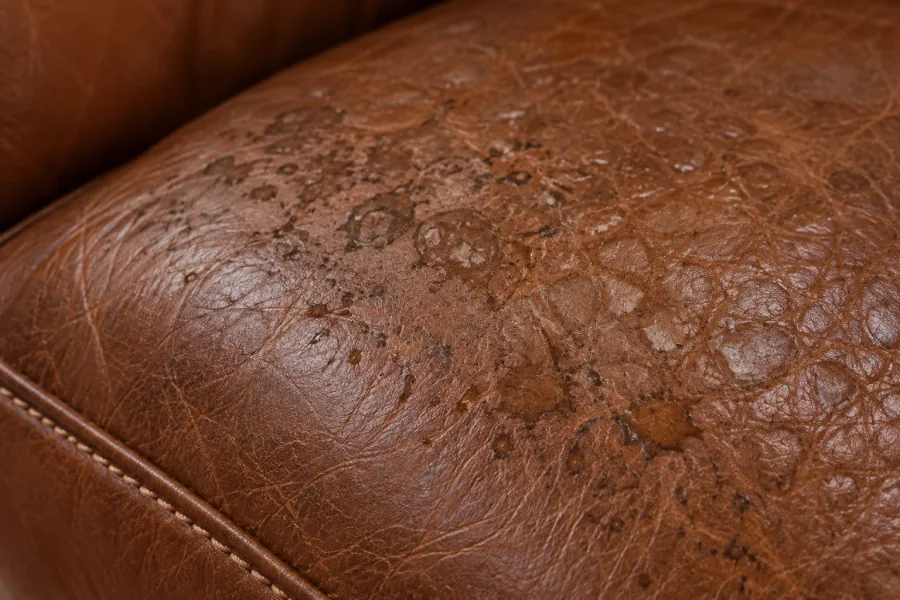 Close-up of dried spotting sitting on the finish of a tan leather cushion