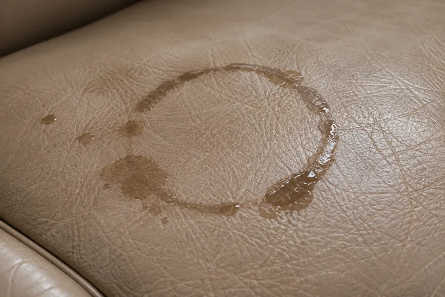 A dried water ring left on a tan leather seat