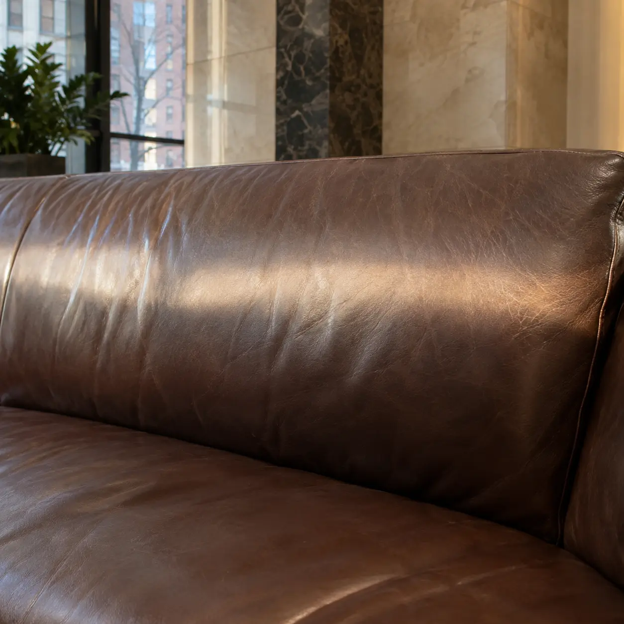 A soft sun line across the back of a leather sofa
