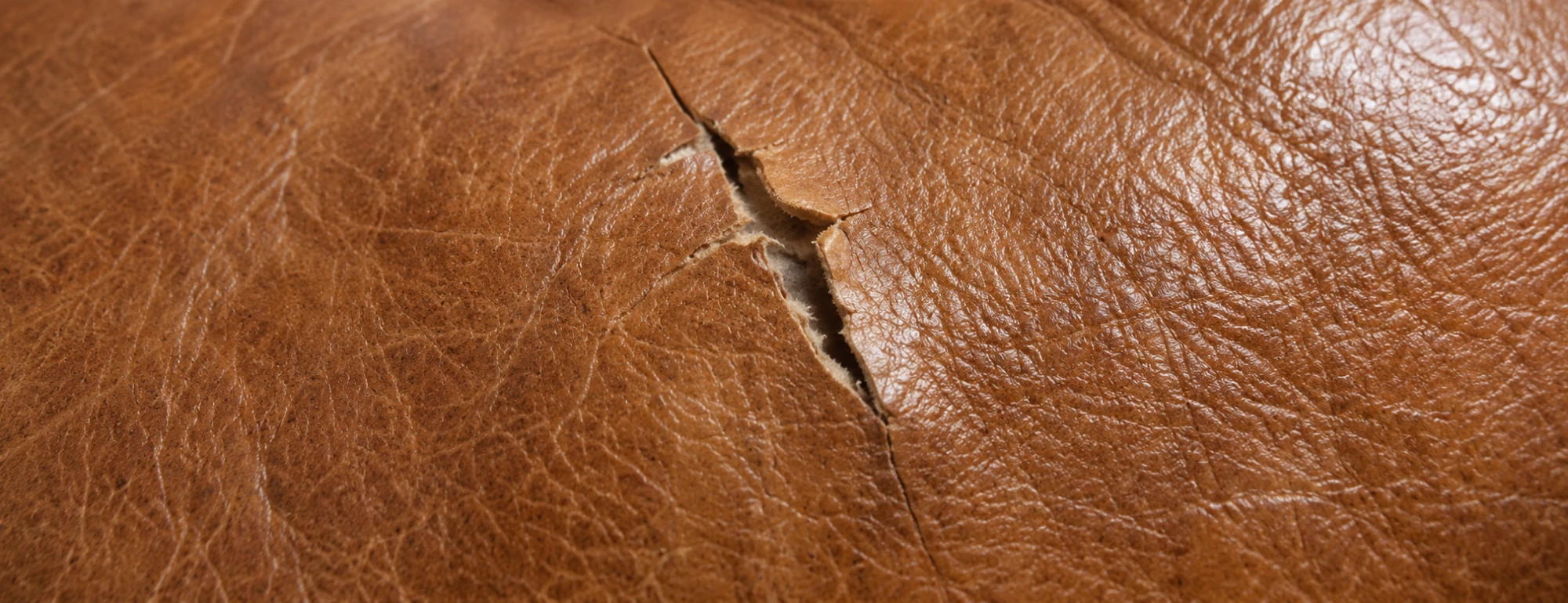 Small tear in tan Togo leather