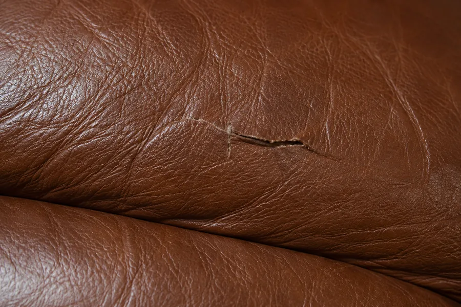 Brown leather that has torn open, the edges separated
