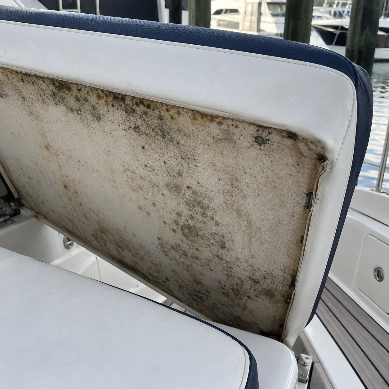 Mildew staining on the underside of a yacht cushion
